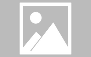 淄博网页优化和设计人才（网站优化职位）